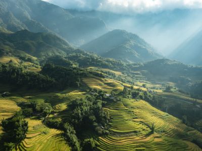 Sapa